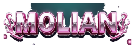 molian981 logo